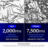 Exosome Micro-Needle Serum